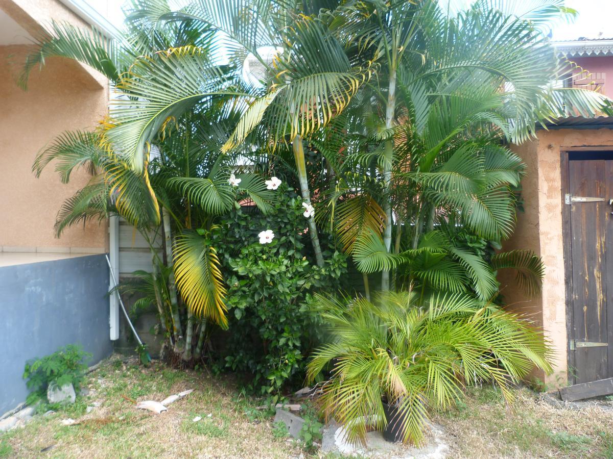 Bed and Breakfast Chez Chouchou Riviere Saint-Louis Exterior foto